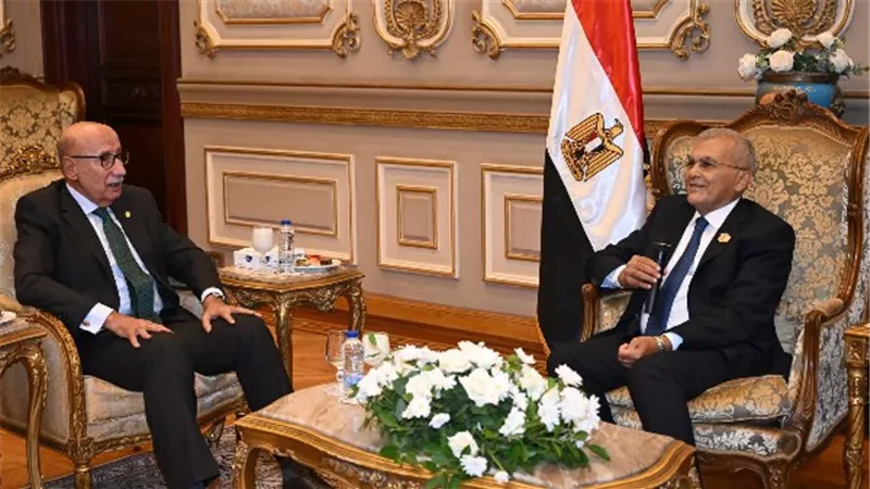 رئيس مجلس الشيوخ يستقبل وفد مجلس القضاء الأعلى لبحث تعزيز التعاون المشترك (صور)