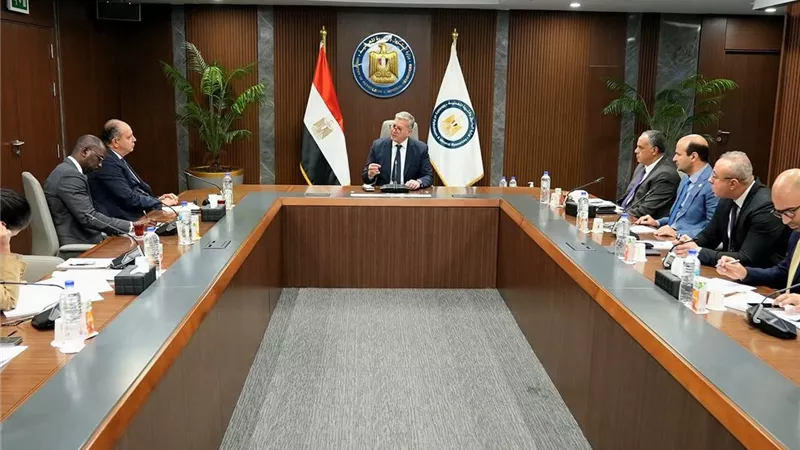 وزير البترول يبحث مع مؤسسة التمويل الإفريقية جذب استثمارات جديدة لقطاع التعدين