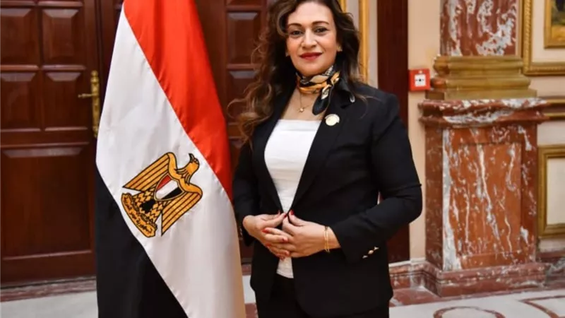 إيفا فارس تبدأ أولى أيام عمل مجلس الشيوخ بثلاث أدوات رقابية