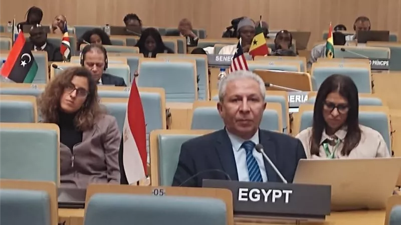 مصر تؤكد دعمها لمبادرات الاتحاد الإفريقي لتعزيز الأمن الغذائي وتطوير المصايد