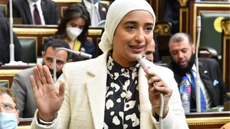 تساؤلات ساخنة تحت قبة البرلمان.. أميرة أبوشقة تفتح ملفات «الأمن القومي» الاقتصادي والاجتماعي