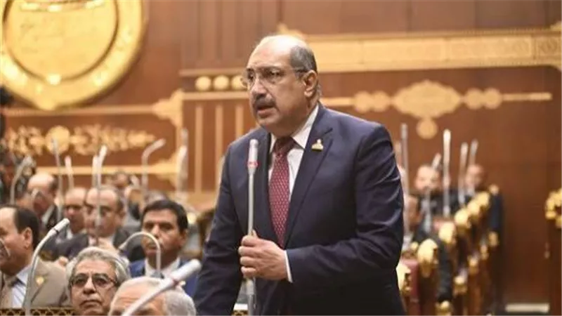 برلماني: تفويض الرئيس السيسي لدعم السعودية يجسد ثوابت مصر لون الأمن القومي