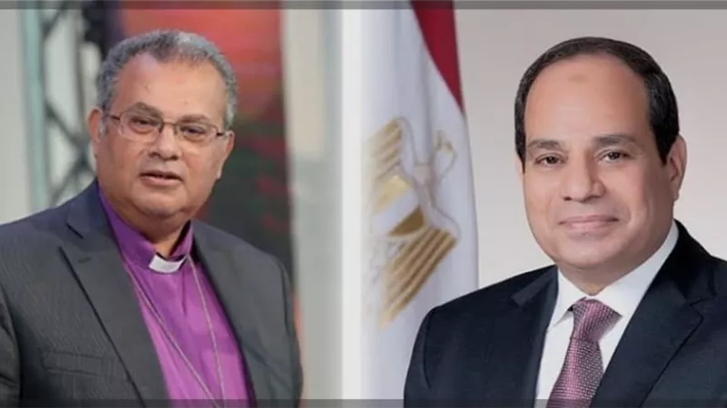 أندريه زكي: المتحف الكبير رسالة حضارية من مصر للعالم