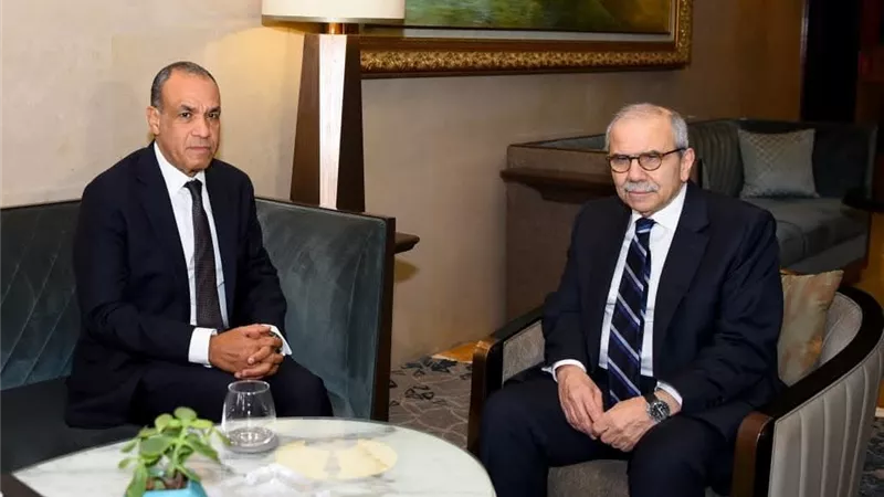 وزير الخارجية يلتقي رئيس وزراء لبنان ويؤكد موقف مصر الداعم لها