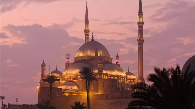 لزيارة المتاحف والمواقع الأثرية مجانًا.. خطوات حجز الرحلات المدرسية عبر منصة رحلة