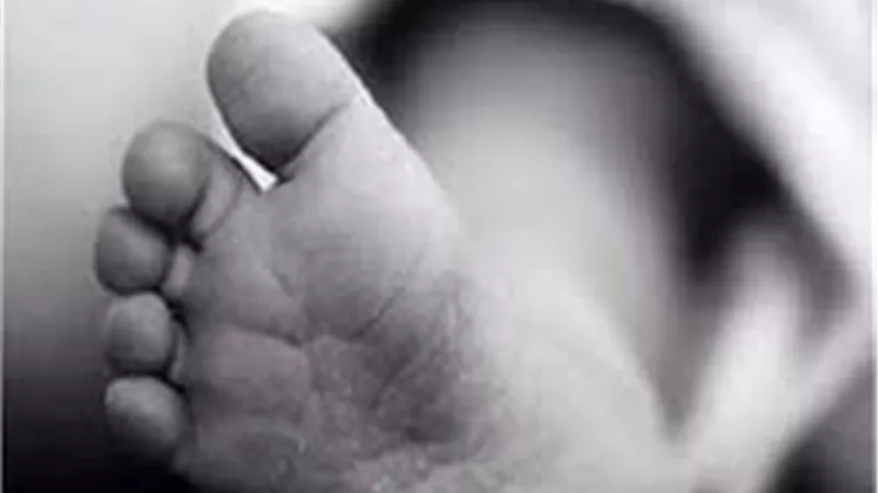 امرأة بلا قلب.. توفيت طفلتها بسبب الإهمال فتخلصت من جثتها داخل حقيبة بالهرم 