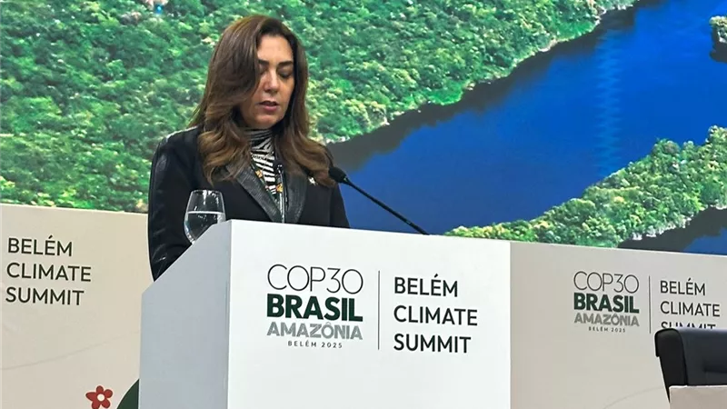 التنمية: التمويل الجماعي الجديد يجب أن يستند إلى أولويات واحتياجات الدول النامية