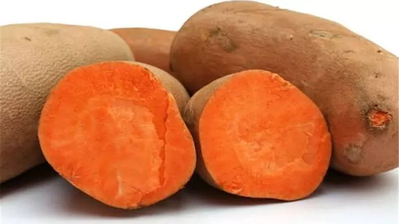 البطاطا الحلوة.. كنز الشتاء الذي يعزز المناعة وصحة الدماغ