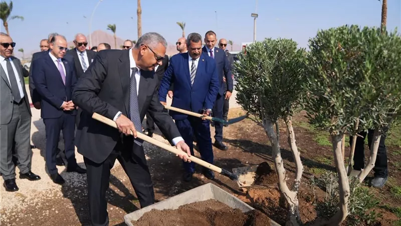 للحد من الانبعاثات الكربونية.. رئيس الرقابة المالية يشارك في زراعة أشجار بشرم الشيخ