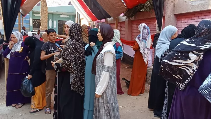 الائتلاف المصري لحقوق الإنسان والتنمية يرسل 750 مراقبًا لمتابعة انتخابات النواب
