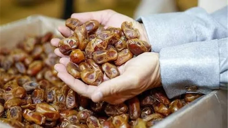 650 ألف نخلة.. كيف تحول مصر «واحة الشوربجي» إلى قلعة لتصدير وتصنيع التمور؟