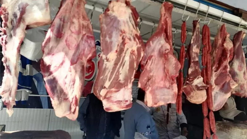 سؤال برلماني عاجل للحكومة حول فضيحة اللحوم الفاسدة بشبرا الخيمة
