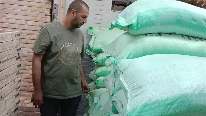 تحرير 220 مخالفة خلال حملات رقابية مكثفة على المخابز والأسواق بالمنيا 