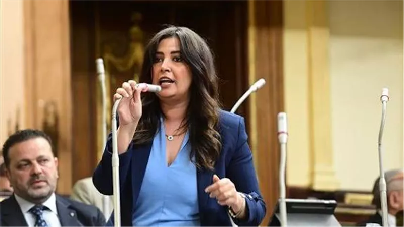 أميرة العادلي: تعديل قوانين الأحزاب والحقوق السياسية ضرورة لبناء أحزاب قوية
