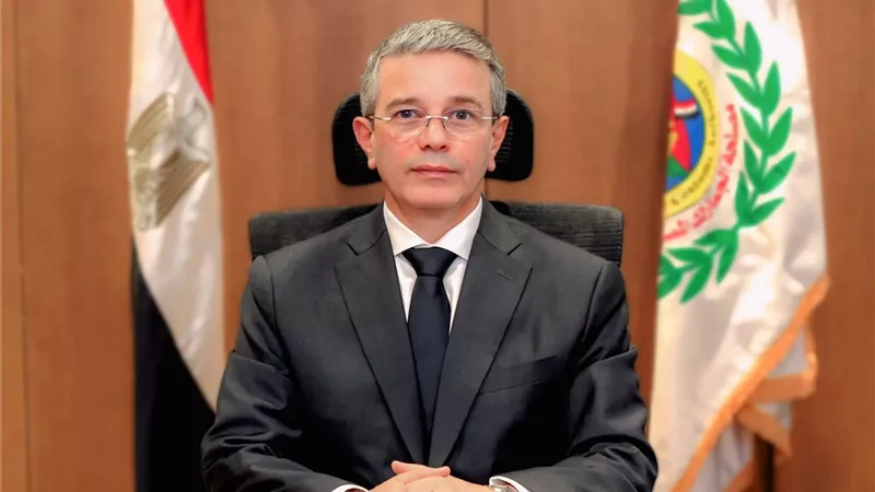 الجمارك عن منظومة 