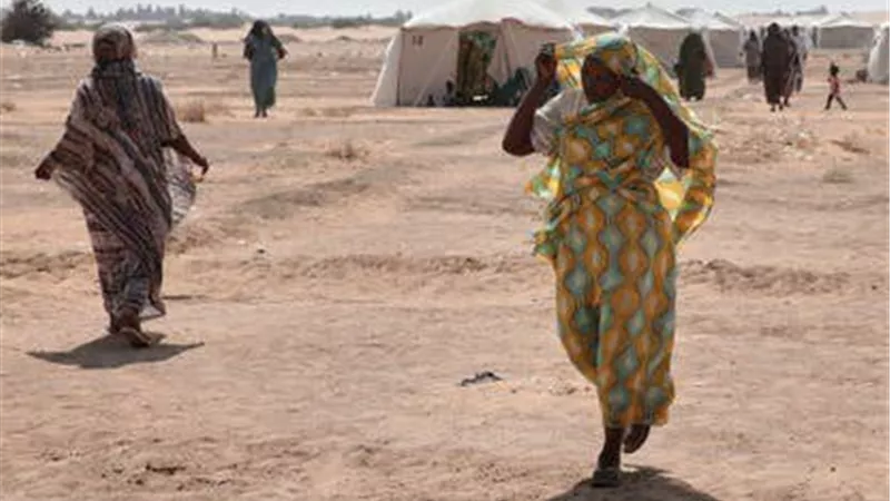 صدام الإرادات في السودان: وزير المالية يقطع الطريق أمام التفاوض مع الدعم السريع ويعلن استمرار المعركة