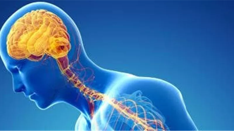 علامات مبكرة تكشف اضطرابات الجهاز العصبي.. متى تتحوّل الأعراض البسيطة إلى إنذار خطر؟