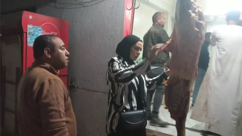 صحة المنيا تضبط لحومًا غير صالحة وتحرّر 21 محضرًا لمخالفات غذائية