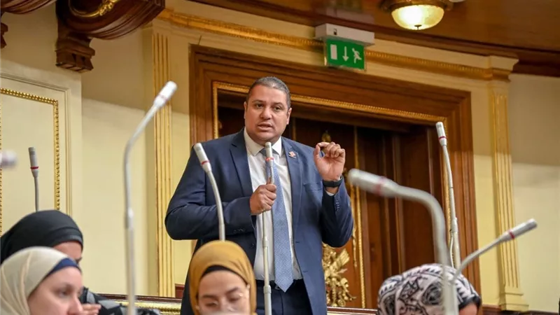 محمد إسماعيل: التشريع ليس فقط مراقبة القوانين أو تعديل مشروعاتها