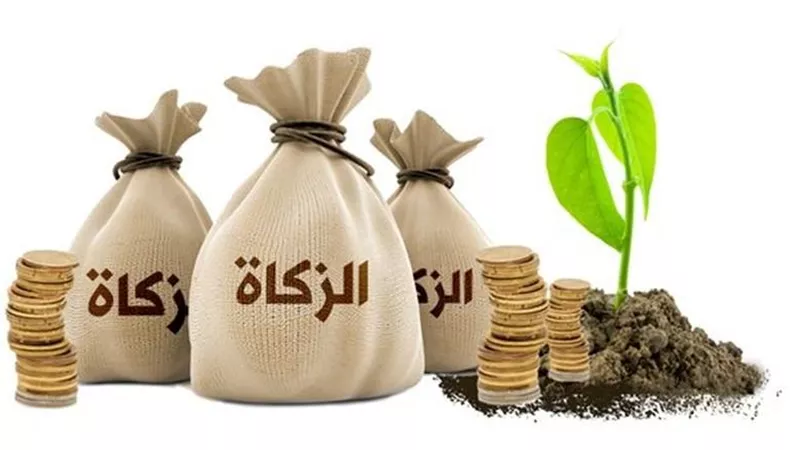 زكاة المال.. هل المحلات والودائع تجب فيها أم الأرباح فقط؟