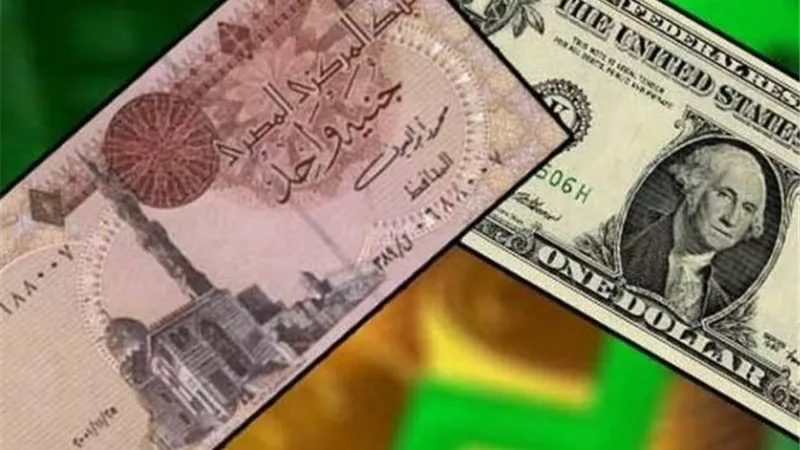 فيتش: الجنيه المصري يواصل صعوده.. ارتفاع 7% واستقرار لافت خلال نوفمبر