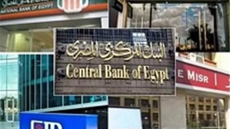 بعد تثبيت المركزي أسعار الفائدة.. أعلى 5 حسابات توفير في البنوك المصرية