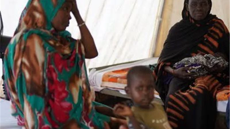 تحذيرات إماراتية من تهديد وحدة البلاد وتصاعد نفوذ الإخوان.. قرقاش يدعو لوقف حرب السودان فوراً