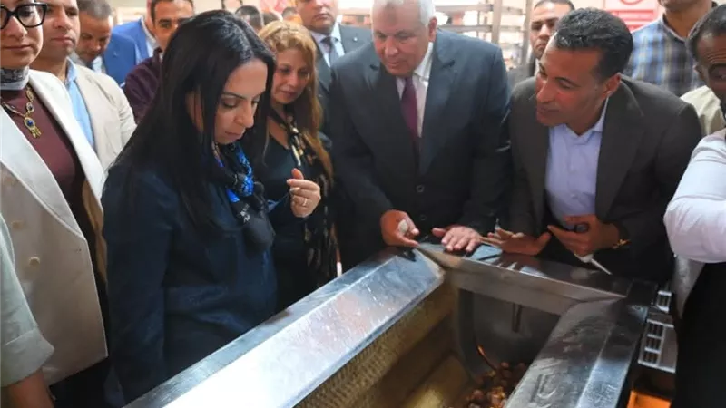 التضامن تستصلح 5 آلاف فدان لزراعة النخيل في الوادي الجديد 