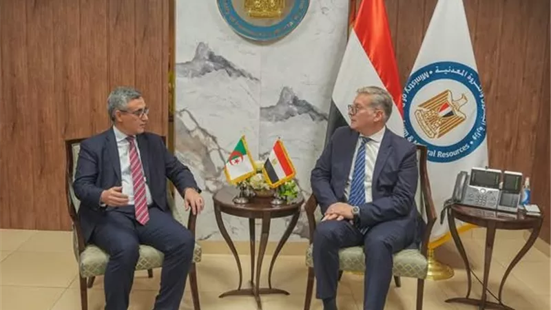 مباحثات مصرية جزائرية لتعزيز التعاون في الطاقة.. وتنفذ مشروعًا ضخمًا بقيمة تتجاوز المليار دولار 