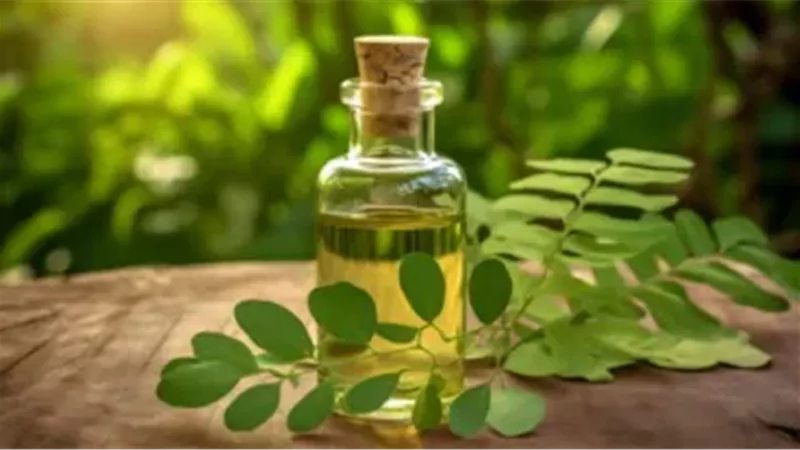 زيت المورينجا.. سحر طبيعي يعيد الحيوية للبشرة ويعزز إنتاج الكولاجين