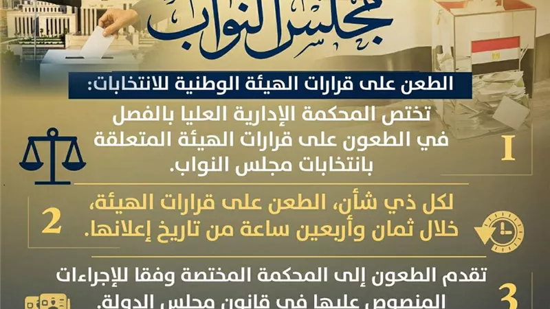 ماذا بعد فرز الأصوات؟.. انفوجراف يوضح تفاصيل الطعن على قرارات الهيئة الوطنية للانتخابات 