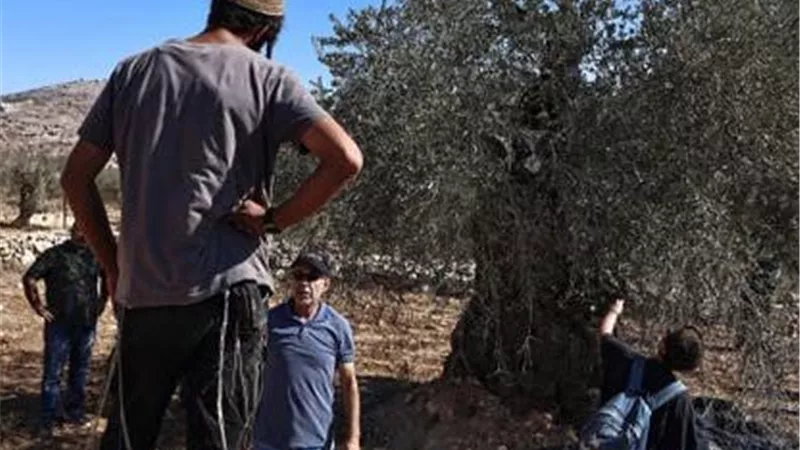 أوروبا تضغط على إسرائيل: إدانة لعنف المستوطنين ومطالبة بحماية الفلسطينيين في الضفة الغربية