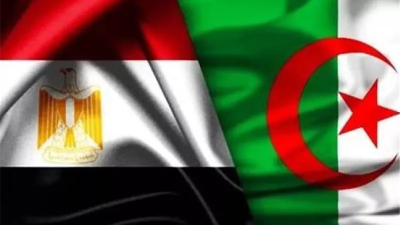 مصر والجزائر.. شراكة اقتصادية لتعزيز التبادل التجاري والاستثمار المشترك