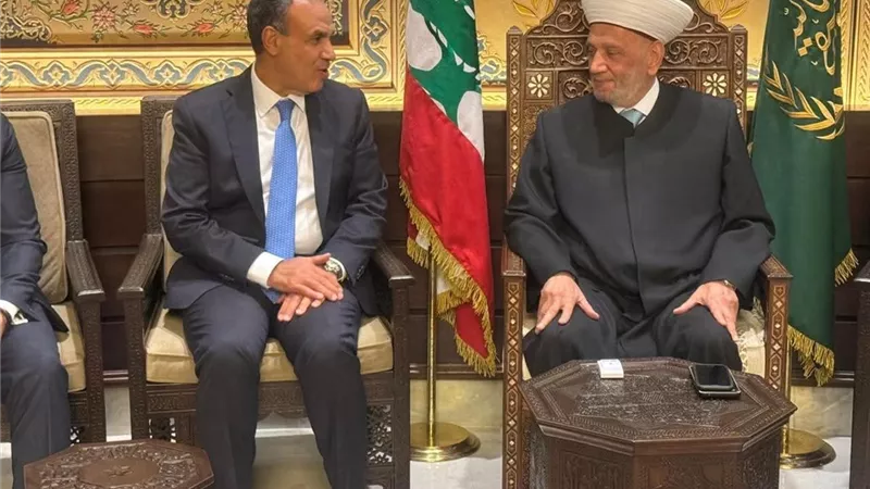 وزير الخارجية يؤكد دعم مصر لوحدة لبنان خلال لقائه مفتي الجمهورية