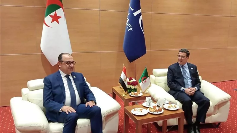 قطاع الأعمال: تعزيز الشراكة الصناعية بين مصر والجزائر بمجال الأدوية ودعم الأمن الصحي في إفريقيا