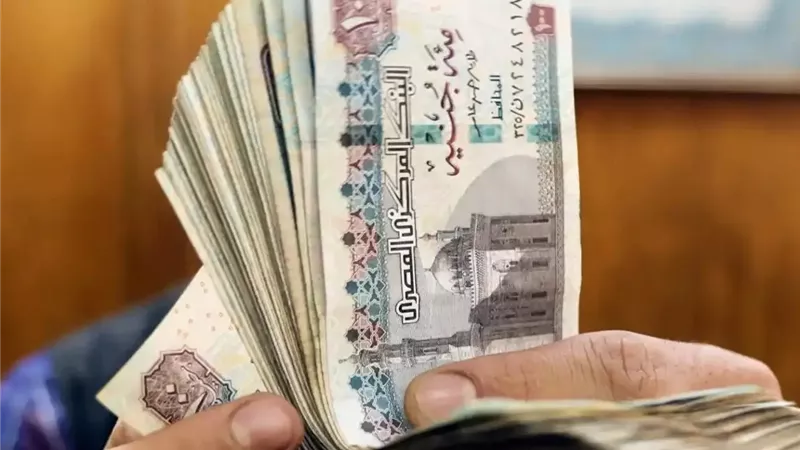 بعد زيادة المعاشات 15%.. تعرف على قواعد الجمع بين معاشين وفقًا للقانون