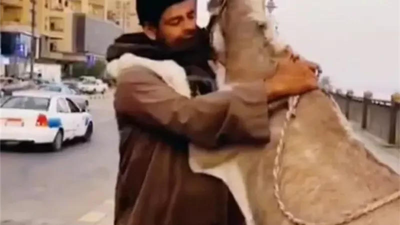 رقصة «سلو» على كورنيش بني سويف بين شاب وحمار تشعل الجدل والغضب