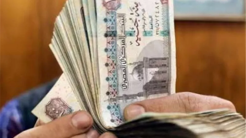 القومية للتأمين الاجتماعي يزف بشرى سارة لاصحاب المعاشات تطبق من يناير