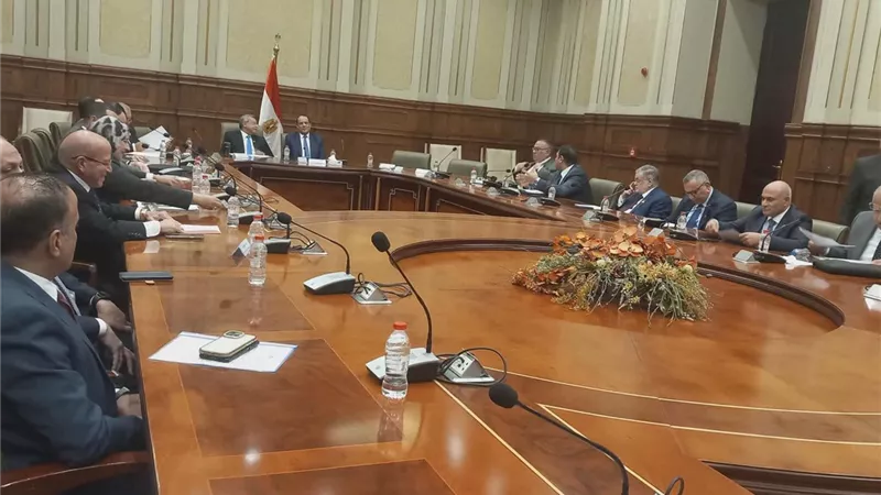 تغليظ عقوبات سرقة الكهرباء على طاولة تشريعية الشيوخ.. تفاصيل