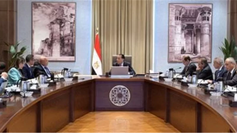 رئيس الوزراء يُتابع إجراءات منع تهريب السلع والبضائع فى مختلف المنافذ