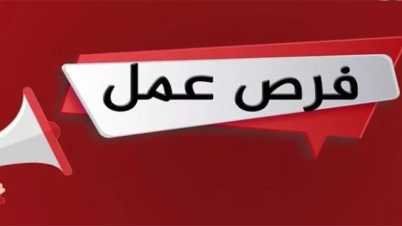 العلمين تستقبل 500 فرصة عمل جديدة للشباب بمبادرة محافظة مطروح