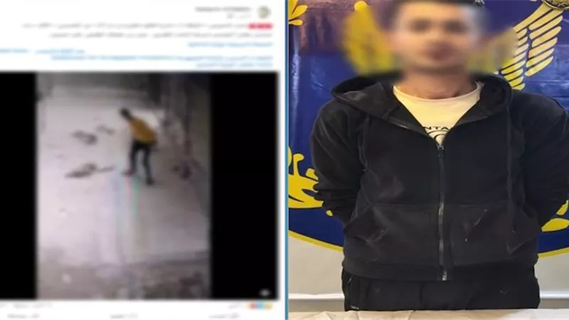 بعد تداول الفيديو.. القبض على المتهم بالتعدي على كلب ضال بالقاهرة 