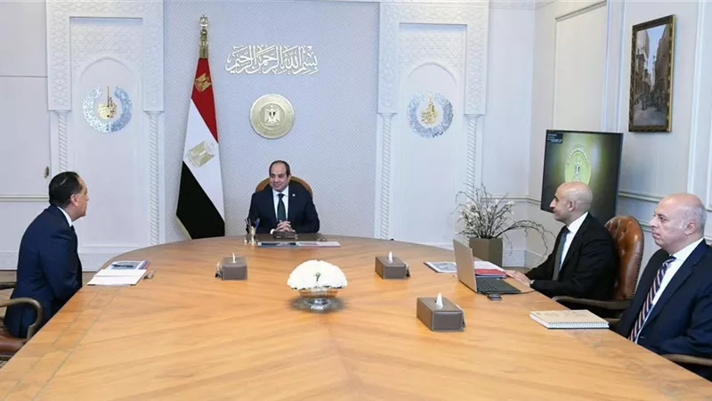 السيسي يوجه بزيادة عدد المدارس اليابانية إلى 500 خلال 5 سنوات