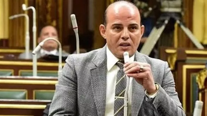 عمرو القطامي يتراجع عن قرار الانسحاب: السباق الانتخابي يشتعل في أكتوبر