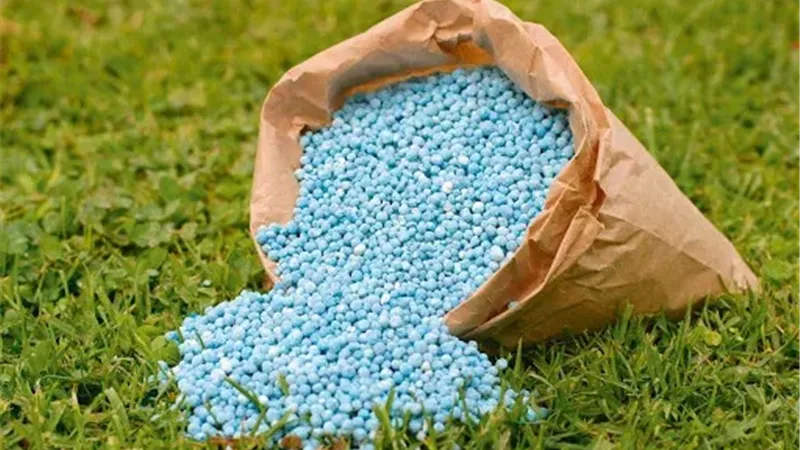 نواب البرلمان يطالبون بمواجهة مافيا الأسمدة.. 7 مطالب لحصار السوق السوداء