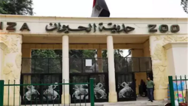 مناظر جديدة وتجديدات مميزة.. استعداد حديقتي الحيوان والأورمان لاستقبال الزوار قريبًا