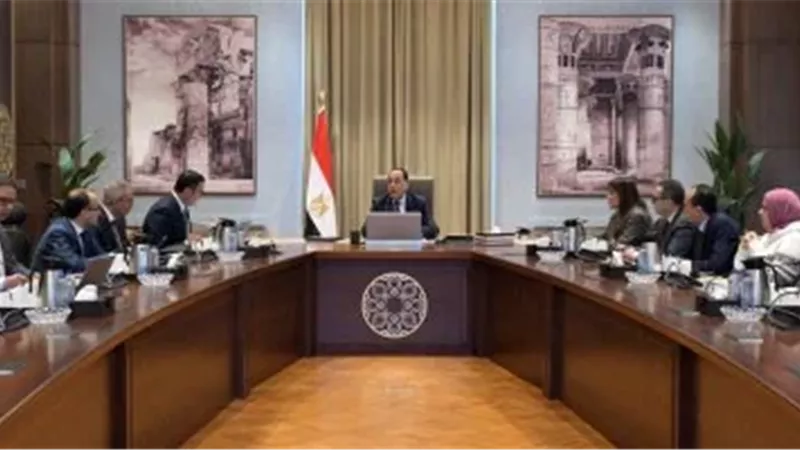 رئيس الوزراء يستعرض المخطط الهيكلي والرؤية التنموية لمنطقة غرب رأس الحكمة