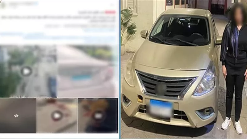 حادث مؤسف في المعمورة.. سيدة تدهس كلبًا أثناء قيادتها سيارتها عكس الاتجاه