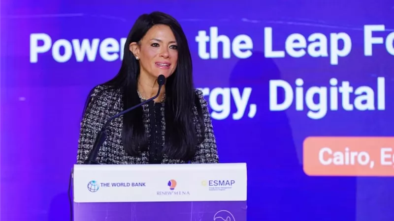 وزيرة التخطيط: لا يمكن أن تتحقق التنمية من دون كوادر ماهرة