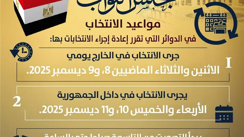 انتخابات النواب 2025.. دليل التصويت في الدوائر الثلاثين المعاد الاقتراع بها